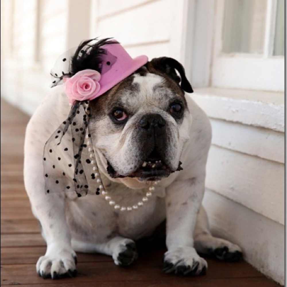 Meet your Posher, Kasey